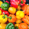 Bell pepper