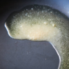 Use little oil or ghee