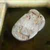 The mystery of the floating stones