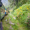 Nilgiri-Mountain railway- Tamil Nadu