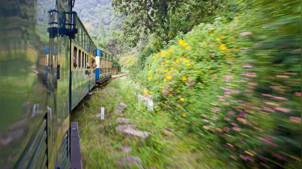 Nilgiri-Mountain railway- Tamil Nadu