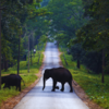 Satpura National Park, Madhya Pradesh