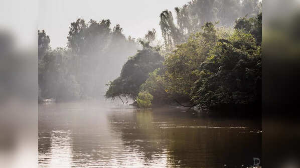 Bhitarkanika, Odisha