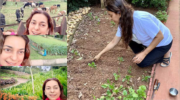 Juhi grows green