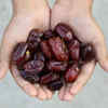 2-3 dates daily