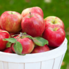 Honeycrisp<sup>​</sup>