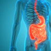 Jumpstarts digestion