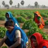 ​Rural inflation sees sharp fall to 3.25%