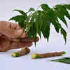 Neem leaves