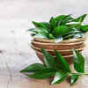 Curry leaves