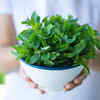 Mint leaves