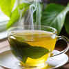 What makes mango leaf so potent?
