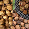 Combine with cooling foods