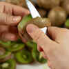 Promotes Gut Health