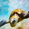 Marine National Park