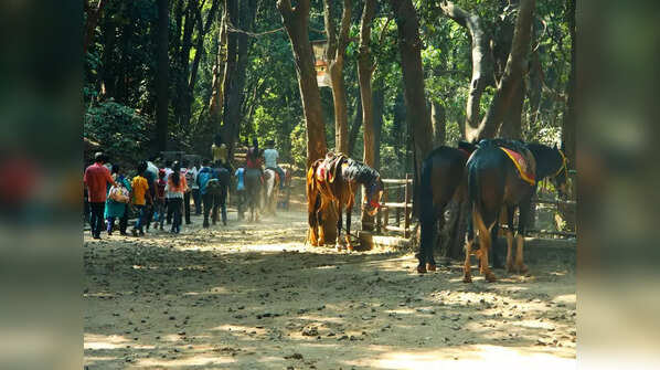 Matheran, Maharashtra