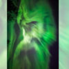 Ghost of cannibal aurora