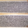 Rigveda (2007)