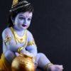The Nidhivan mystery 