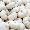 White Pumpkin