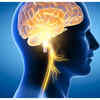 Good for brain health