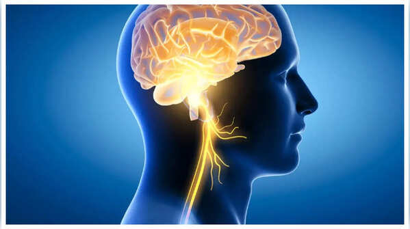 Good for brain health