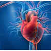 Excellent for your heart