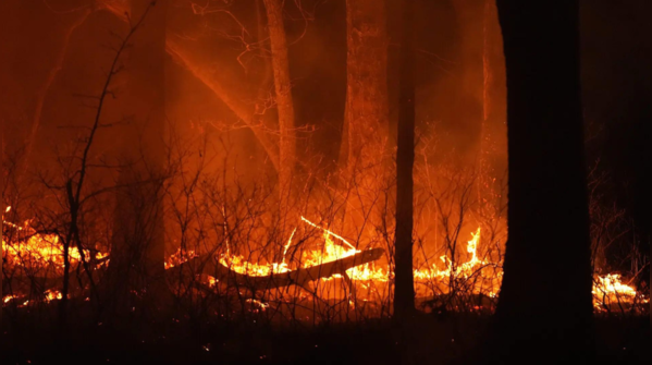 New Jersey Wildfire: The Pines whisper in flames over 8,500 acres