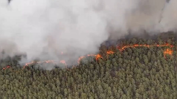 New Jersey Wildfire: fiery ribbon trail