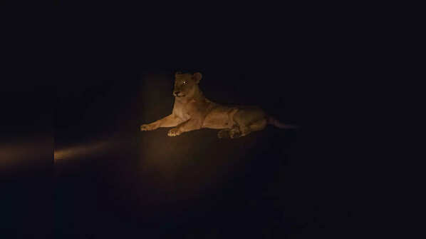 Satpura National Park, Madhya Pradesh