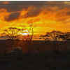 Article image for: <i class="tbold">kanha</i> National Park, Madhya Pradesh