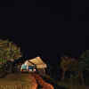 Pench National Park, Madhya Pradesh