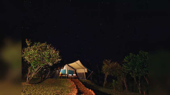 Pench National Park, Madhya Pradesh