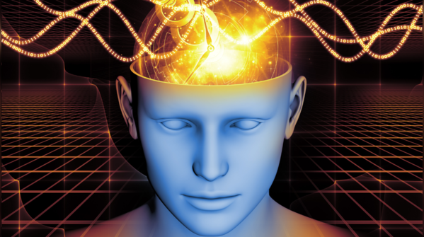 Protects brain cells from age-related decline