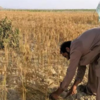 Pakistan's existing water issues