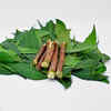Neem