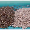 How are the white and black seeds different?