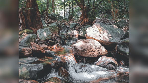 Marmala waterfalls, Kerala