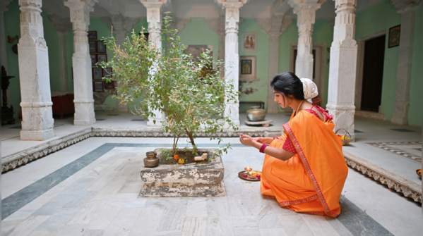 The nature of Tulsi