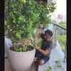 The famous garden