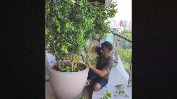 The famous garden