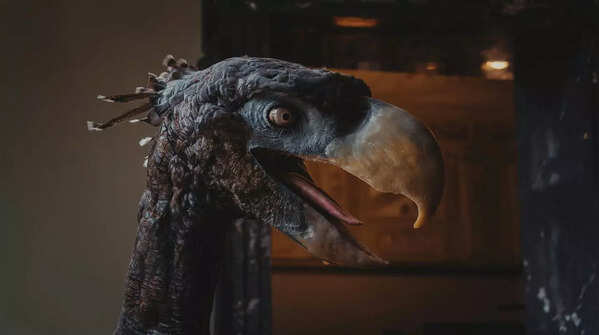 5 ancient birds that continue to live today