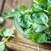 Spinach (Palak)