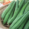 Article image for: Turai (<i class="tbold">ridge gourd</i>)