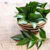 Curry leaves water
