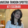 Article image for: Raveena Tandon made a public appearance
