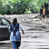 Uprooted trees block roads
