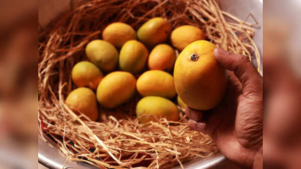 Nutritional values of Mango and Avocado