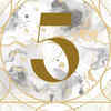 5 (Those born on the 5th, 14th, or 23rd of any month are ruled by the Numerology number 5)