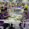 Vote counting begins